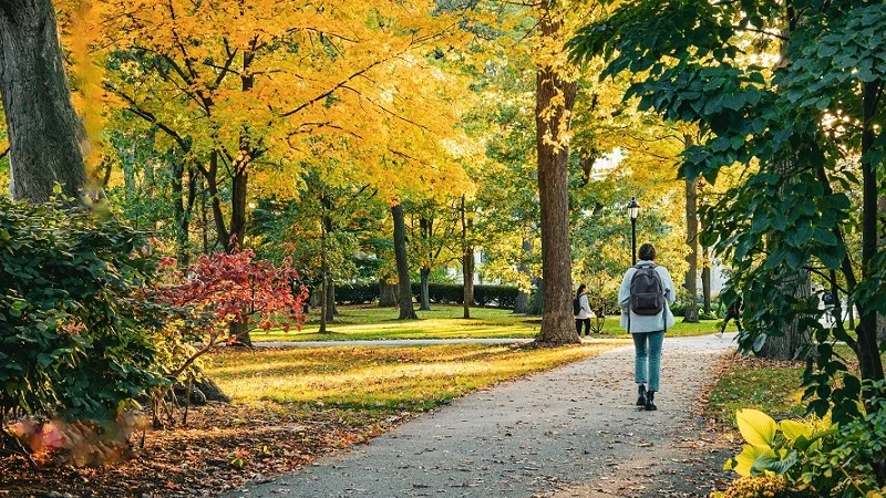 US News Best Business Schools Ranking: American Programs and Academic Excellence